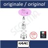Gruppon corpo per 412 SX (SINISTRO)