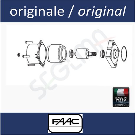 Motore 550 230Volt